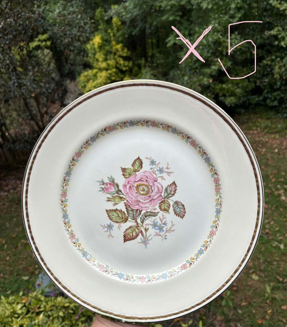 5 Vintage Georgian Pink Rose Dinner Plates 9.5"